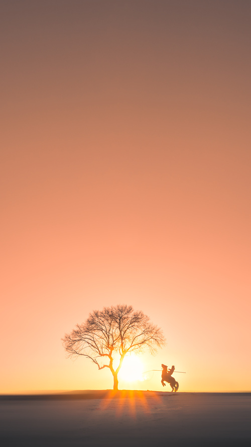 绿茵场上的得分后卫,当布克的个人美学照亮欧冠决赛之夜