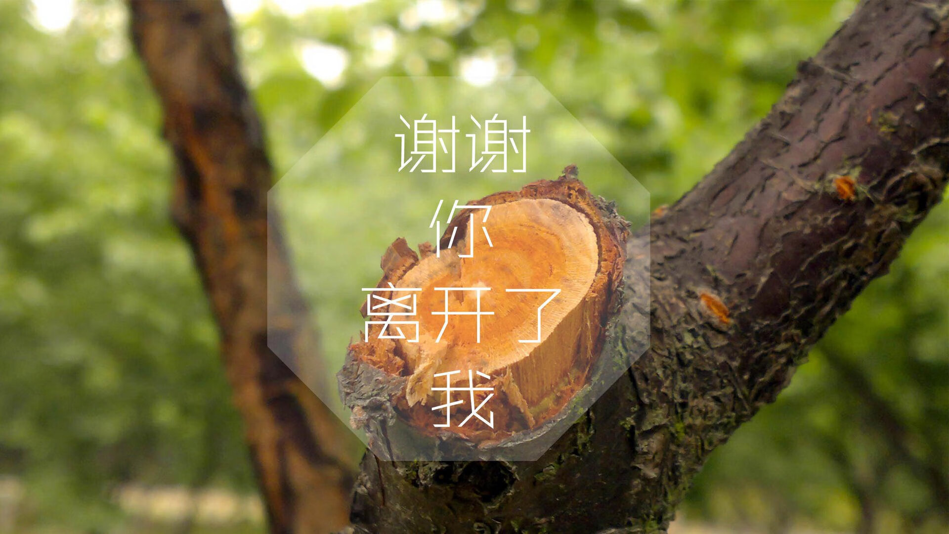 篮球史上最离奇一战,当蓝领军团广厦用东方智慧肢解金州勇士,锡安如何成为终极答案?