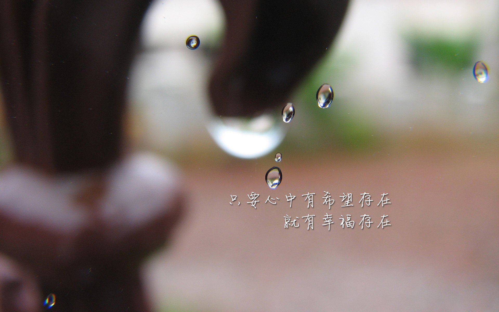 莱奥的幻影撕裂铁血防守,阿尔及利亚如何改写北非足球的命运之夜