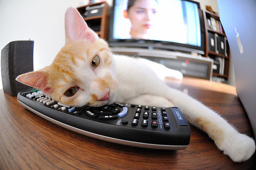 油门与三分线,当F1争霸夜遇见利拉德时间