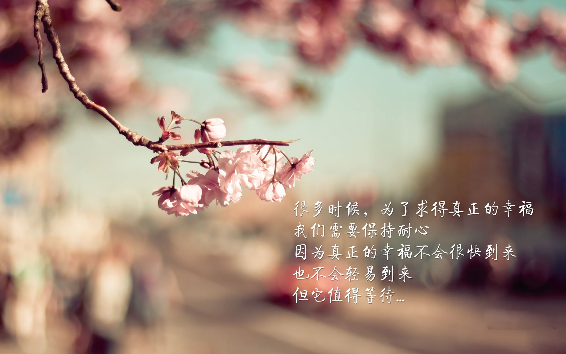 绿茵战场上的异大陆对决,摩纳哥鏖战秘鲁,门迪一剑封喉