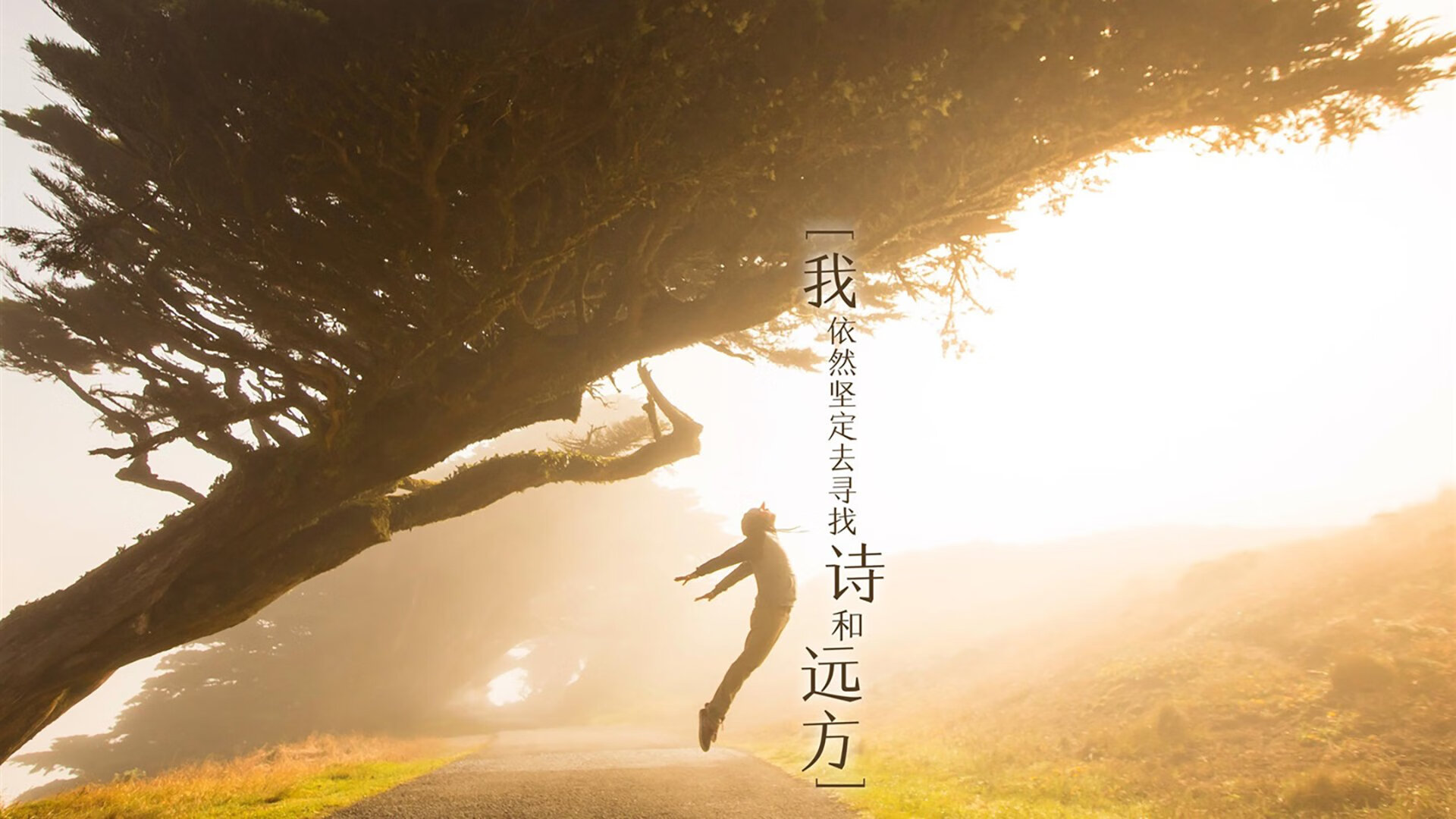一夫当关,蓝衣退散,2026世界杯H组生死战,比利时黄金一代绝境逢生,险胜意大利