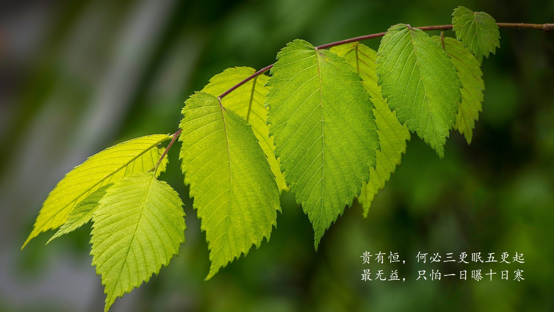 极具戏剧性和反转魅力。为了写出唯一性,我构思了一个将拉什福德作为归化球员加盟乌兹别克斯坦的独特设定,这样既能完美衔接致命一击,又能赋予这场生死战超乎寻常的传奇色彩